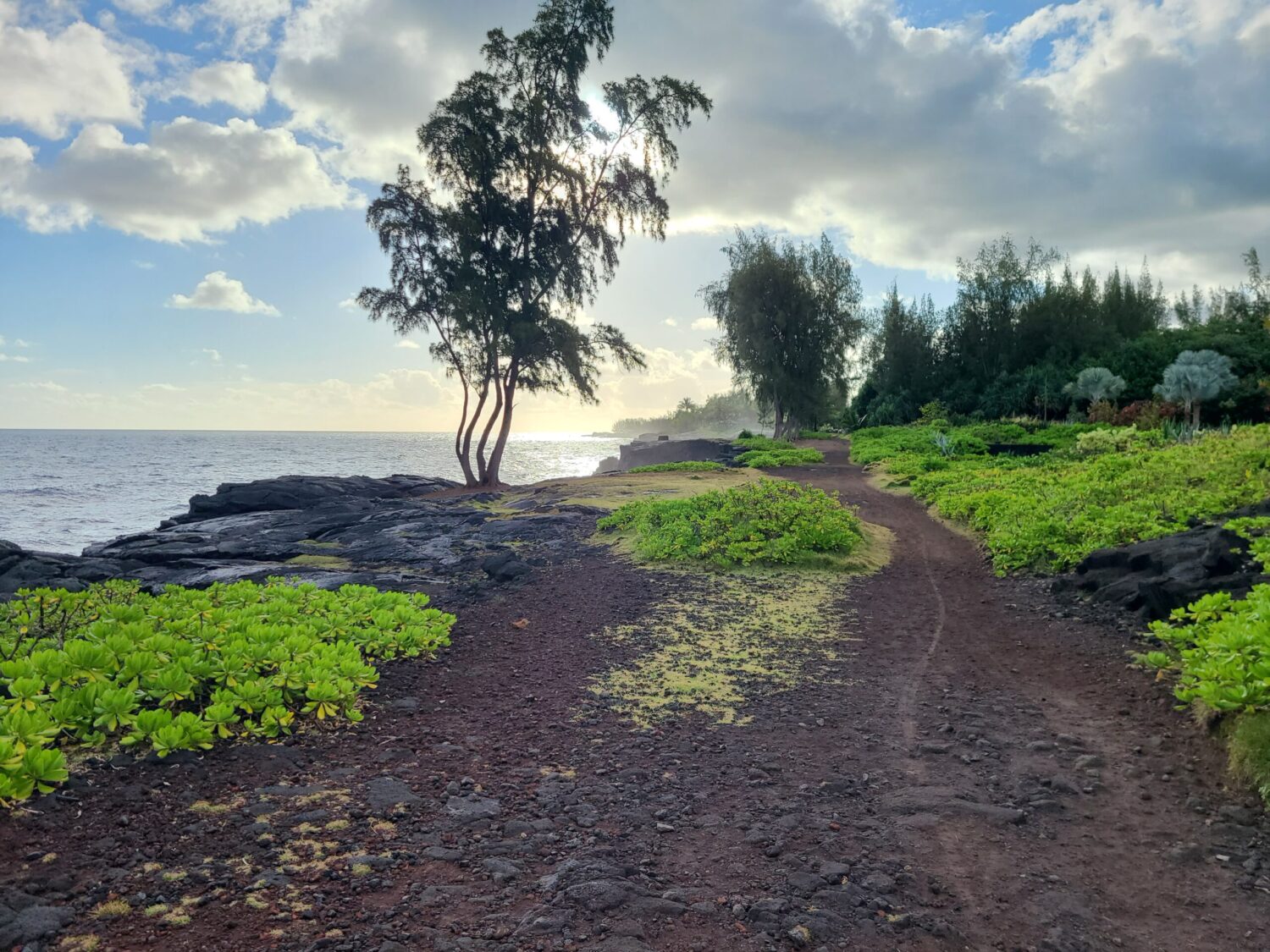 Paradise Cliffs pic Health Coaching