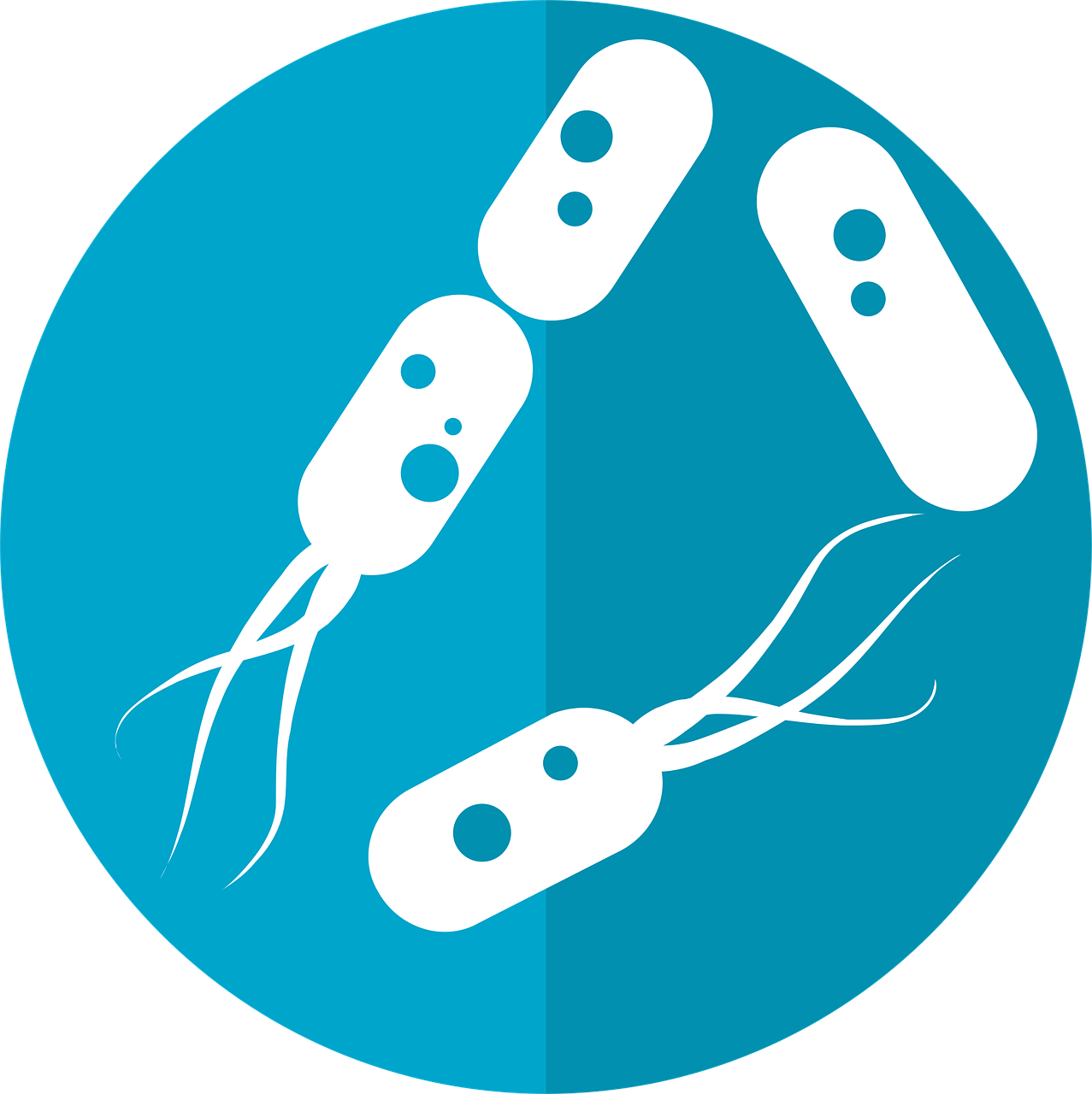 Photo by mcmurryjulie bacteria icon, microbiome icon, gut bacteria, flora, intestinal bacteria, bacterium, bacteria icon, bacteria icon, gut bacteria, gut bacteria, gut bacteria, gut bacteria, gut bacteria, bacterium, bacterium